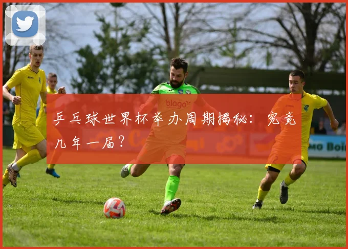 乒乓球世界杯举办周期揭秘：究竟几年一届？